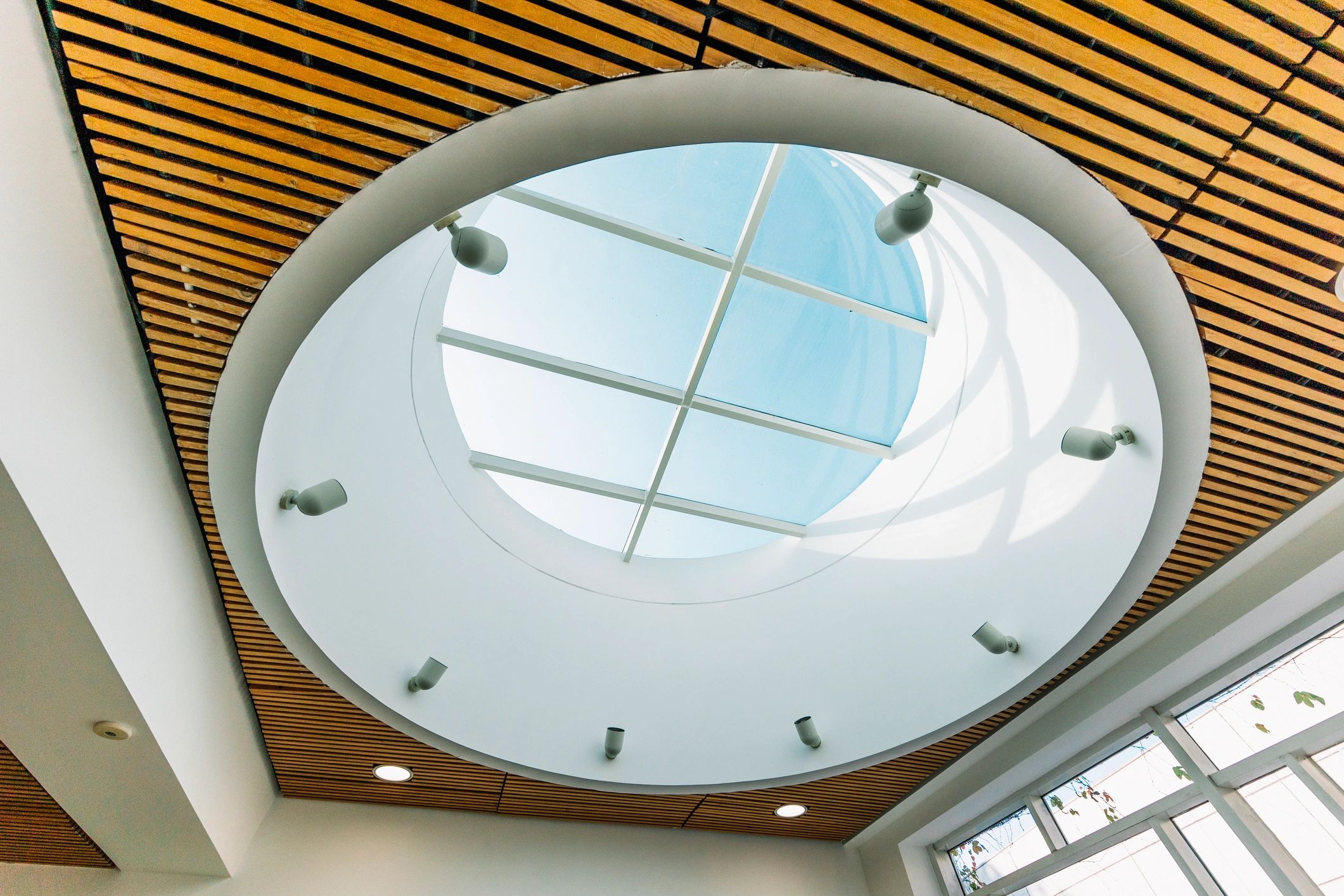 Ceiling infrastructure representing suppression system coverage